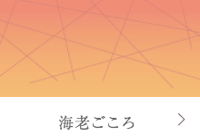 愛知の進物海老煎餅